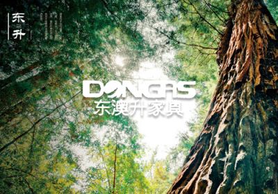 东澳升（家居）