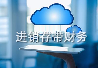 进销存带财务功能